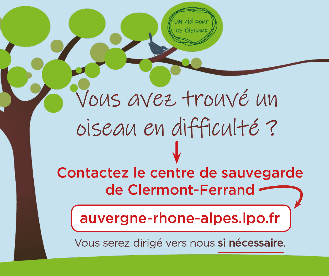 Pas de prise en charge direct. Contacter la LPO