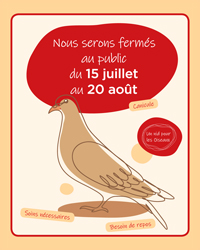Cagnotte pour la protection du site