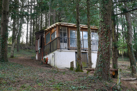 notre terrain au milieu des arbres