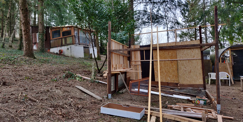 notre terrain au milieu des arbres