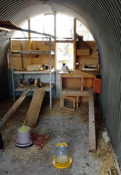 une de nos volières